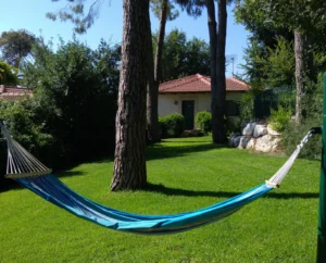 מלון שורש ירוק בהר