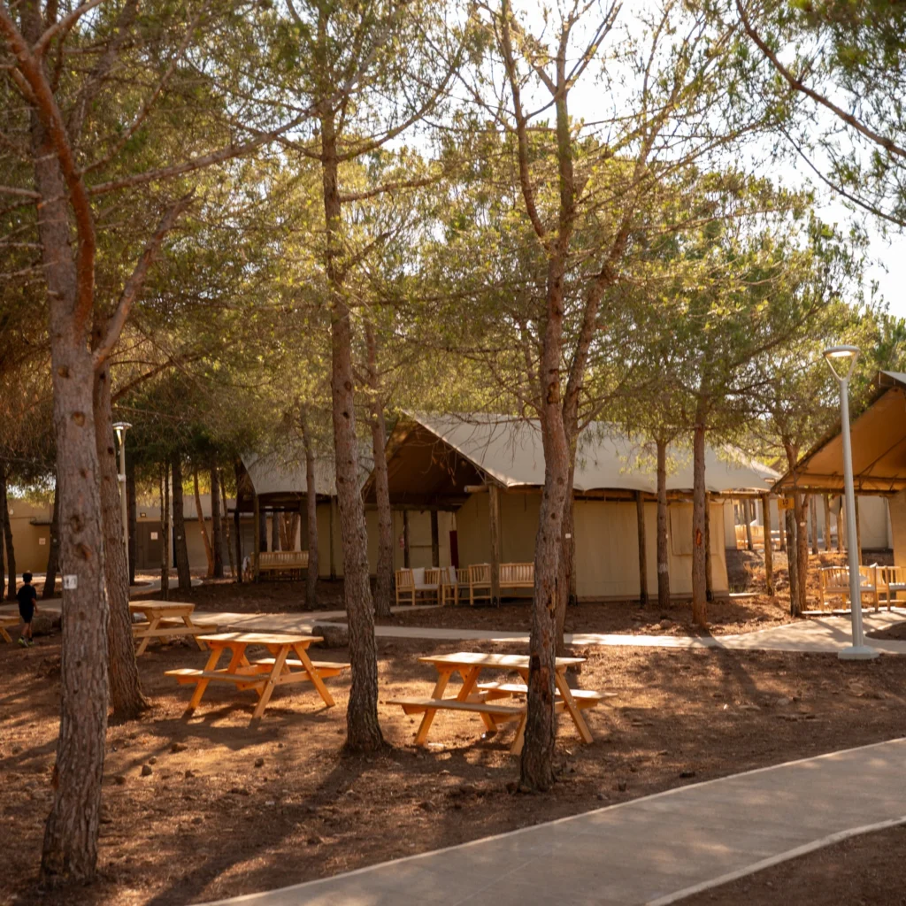 525721749_1326695282794170_6721745475977657599_n