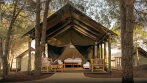 גלמפינג קיבוץ אורטל