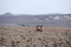 עדכונים בזמן אמת, מבצעים והגרלות בוואטסאפ ובטלגרם