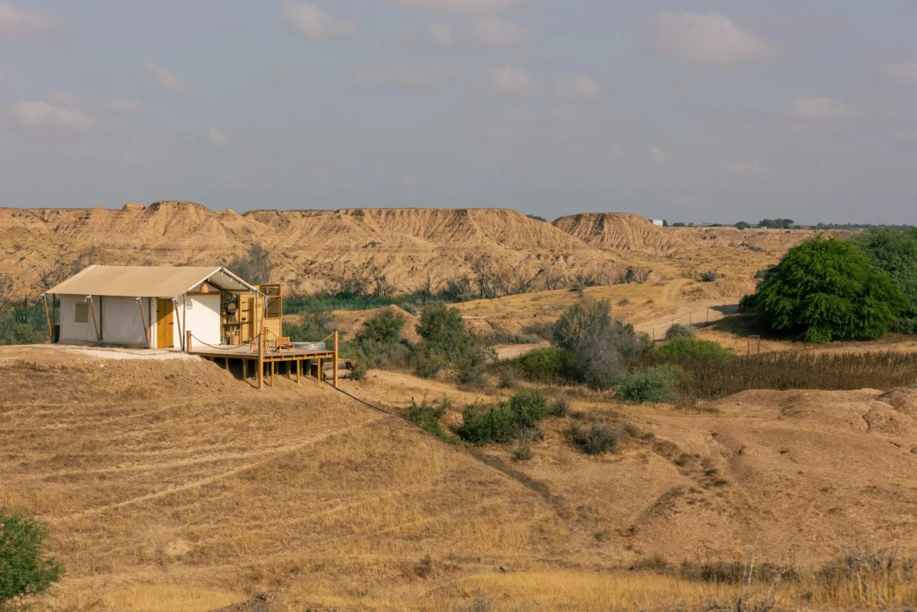 WhatsApp Image 2025-11-19 at 14.48.59