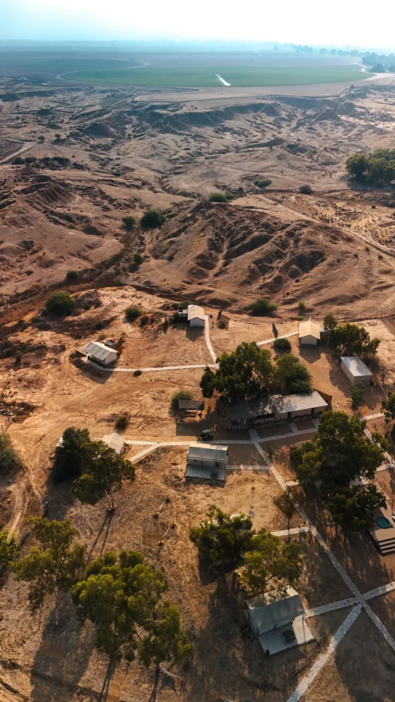 WhatsApp Image 2025-11-19 at 14.49.03