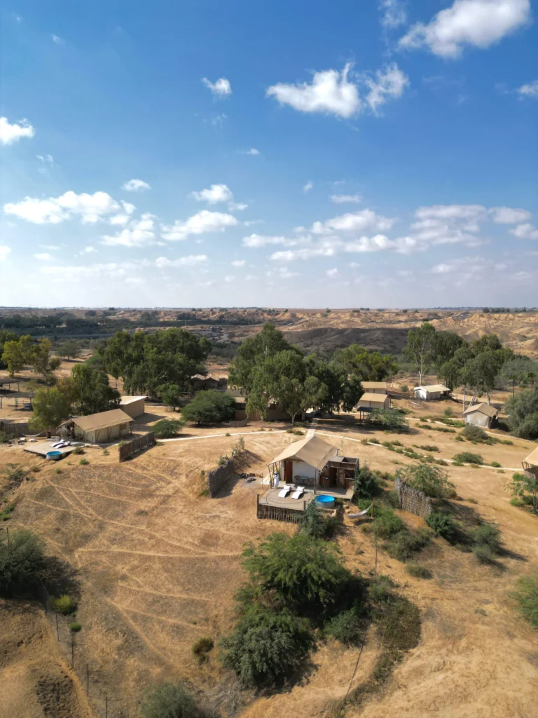 WhatsApp Image 2025-11-19 at 14.52.06 (1)