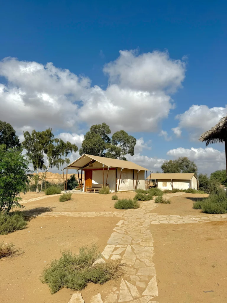 WhatsApp Image 2025-11-19 at 14.52.06 (3)