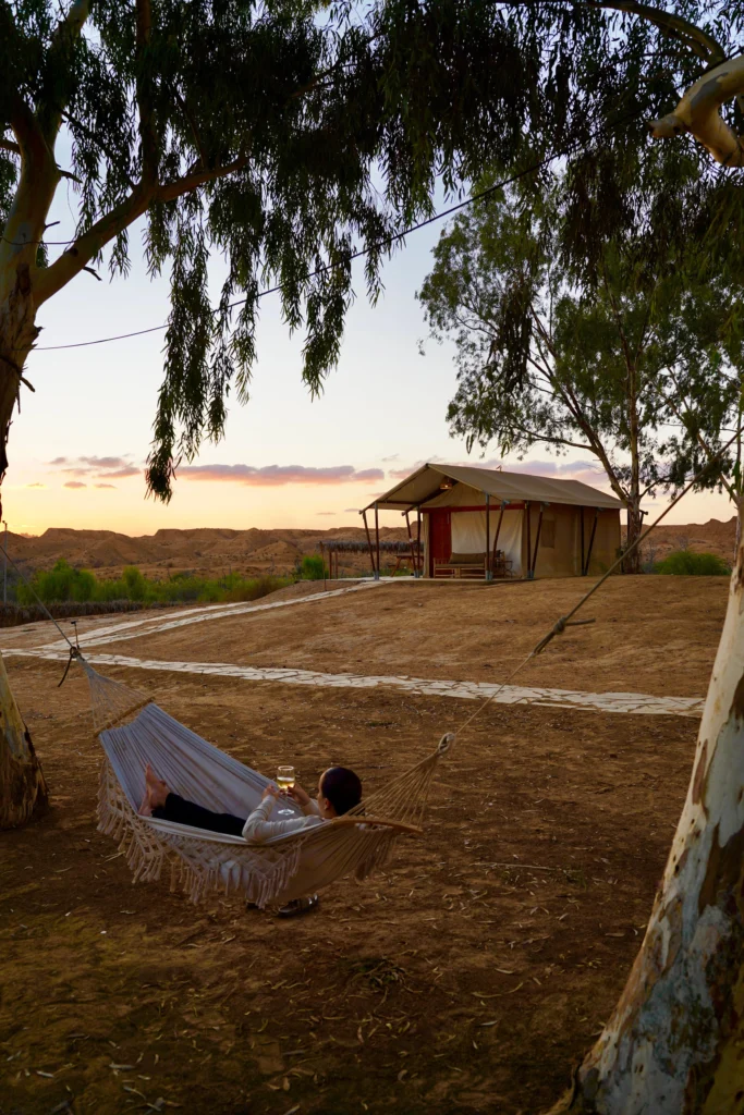 WhatsApp Image 2025-11-19 at 14.52.06