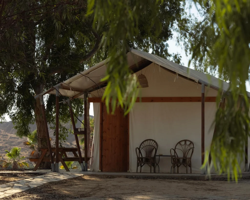 WhatsApp Image 2025-11-19 at 14.55.02 (2)