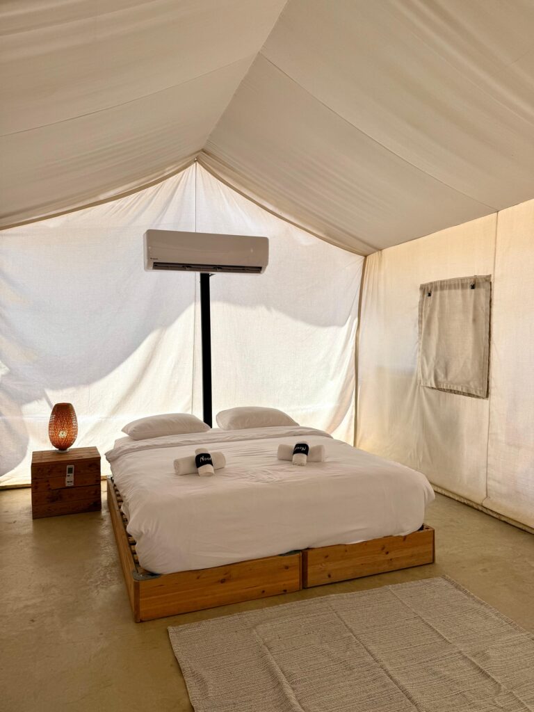 WhatsApp Image 2025-11-19 at 15.13.34