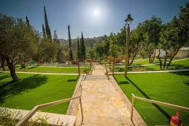 אירוח וקמפינג יער השלום