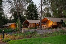 גלמפינג קצרין 1